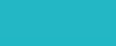 Client 30